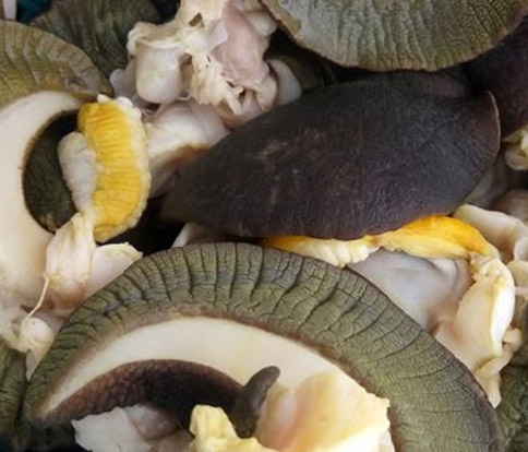8 Reasons You Should Start Eating Snail Meat