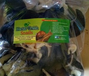 Snail Farming Business Making Profit By Value Addition 2
