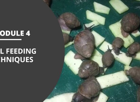 MODULE-4-FEEDING