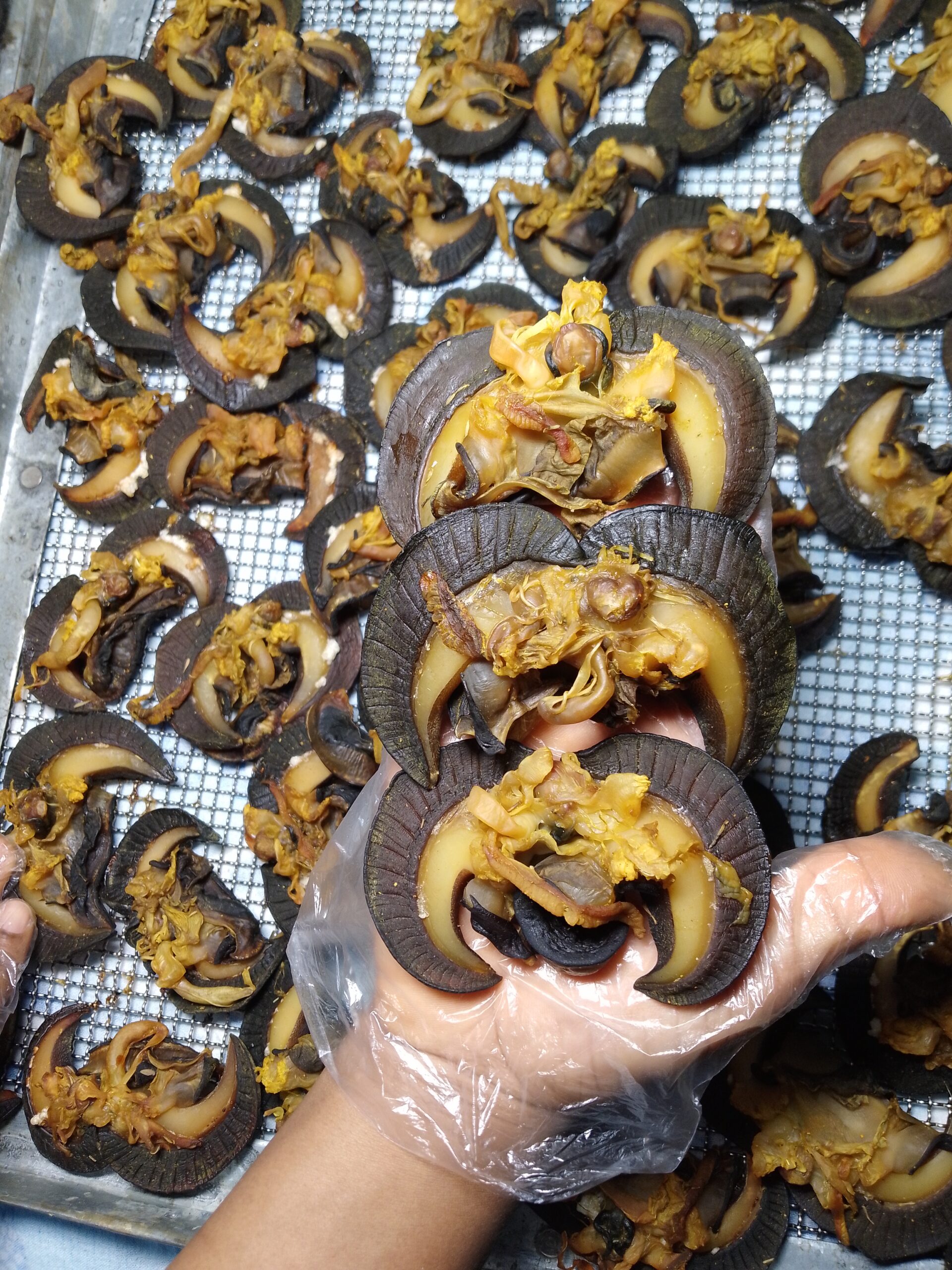 IMG_20240727_055658_740