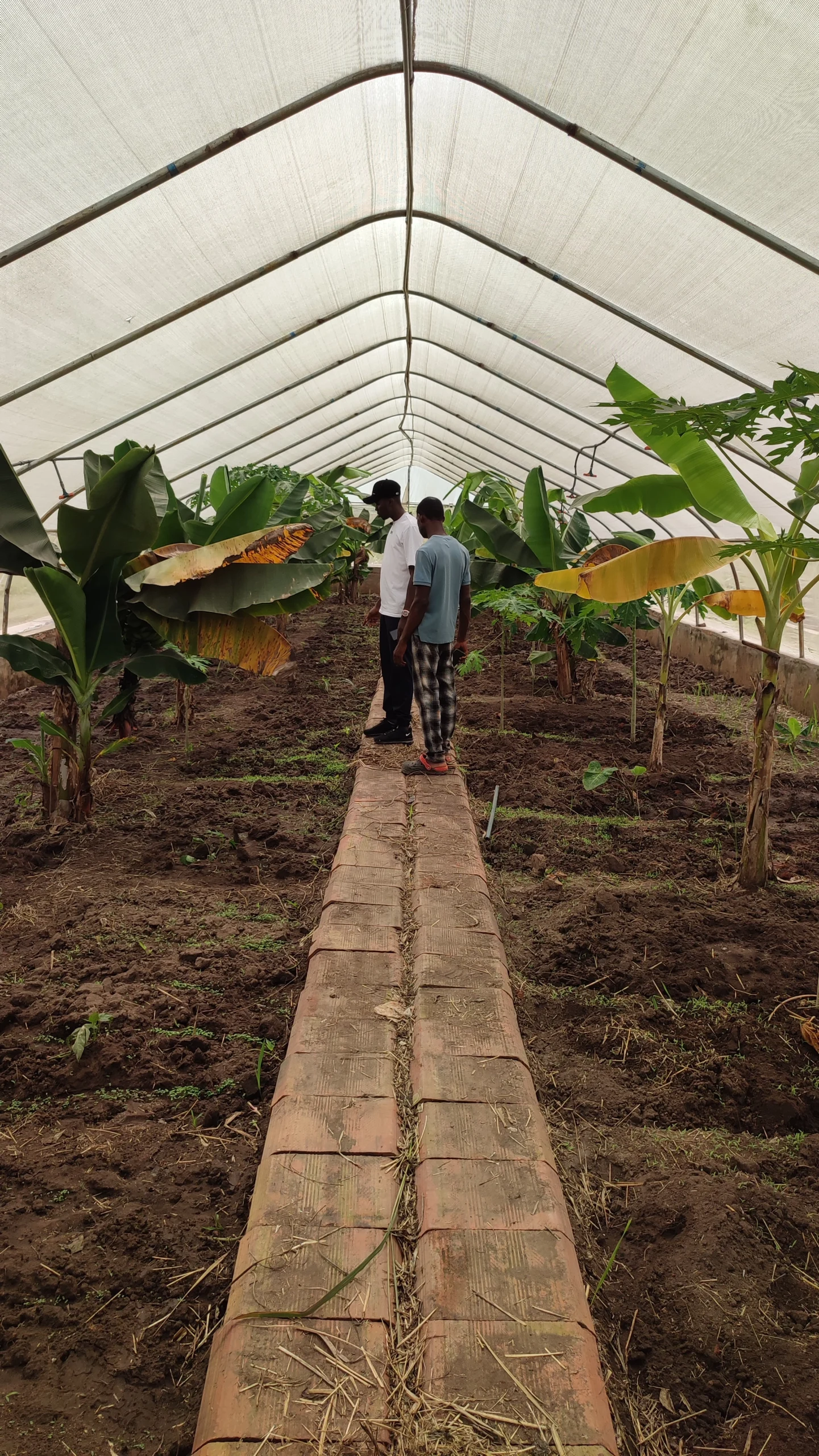 IMG_20241204_111635 IMG_20241204_111635