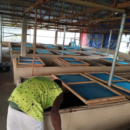 IMG_20211203_175004_655