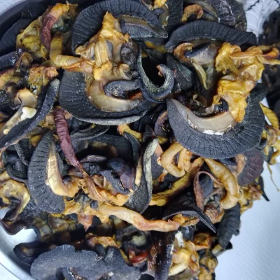 IMG_20240325_122300_687